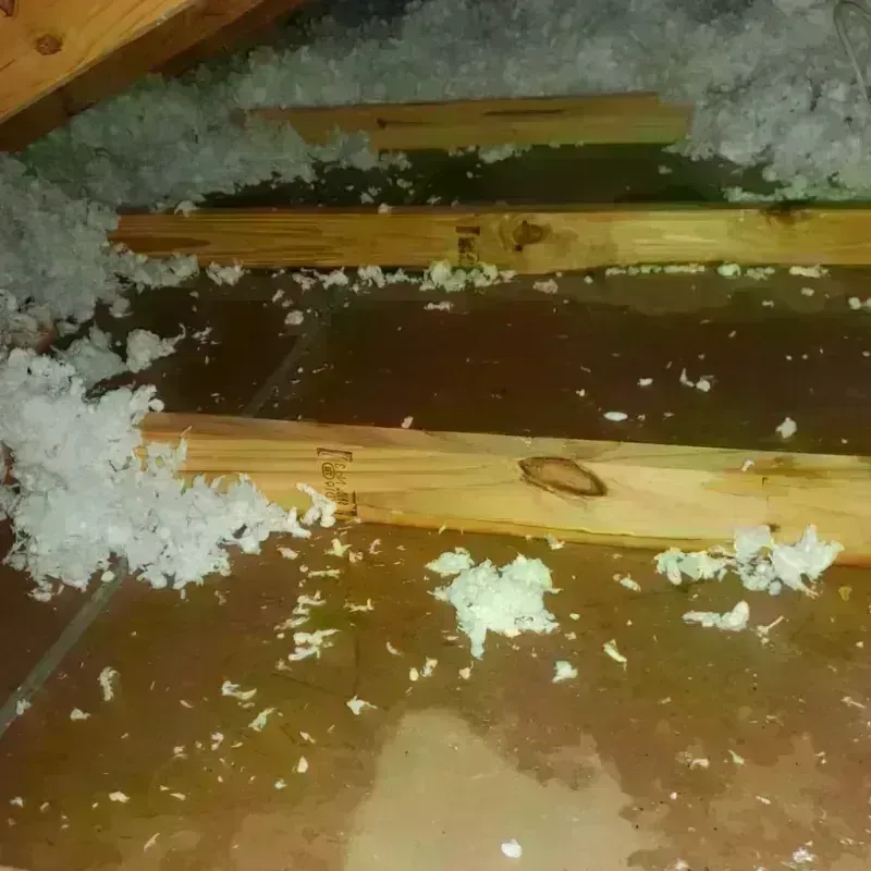 Attic Water Damage in Fircrest, WA