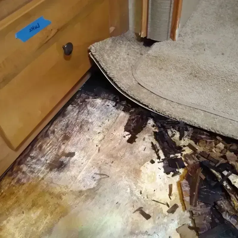 Wood Floor Water Damage in Fircrest, WA